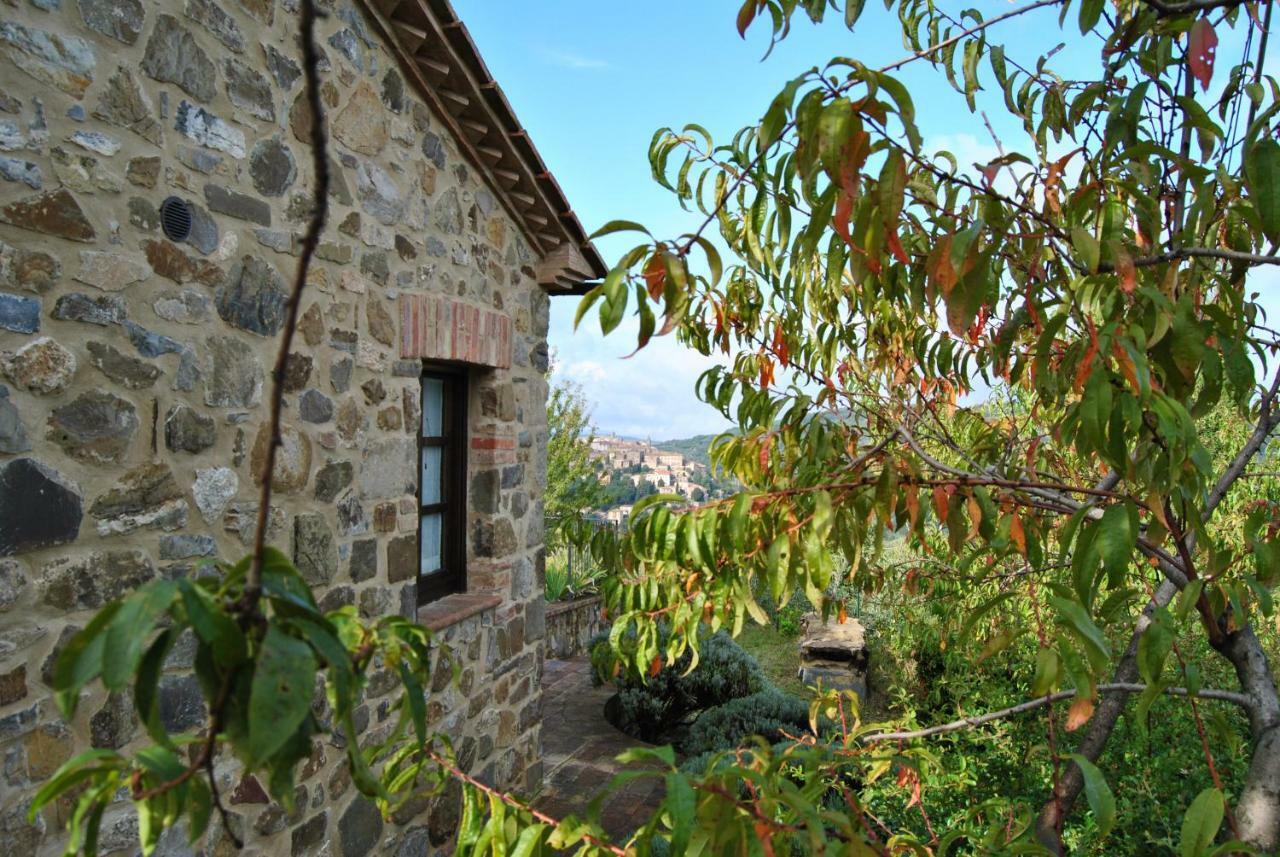 Villa Casa Fioranna à Seggiano Extérieur photo