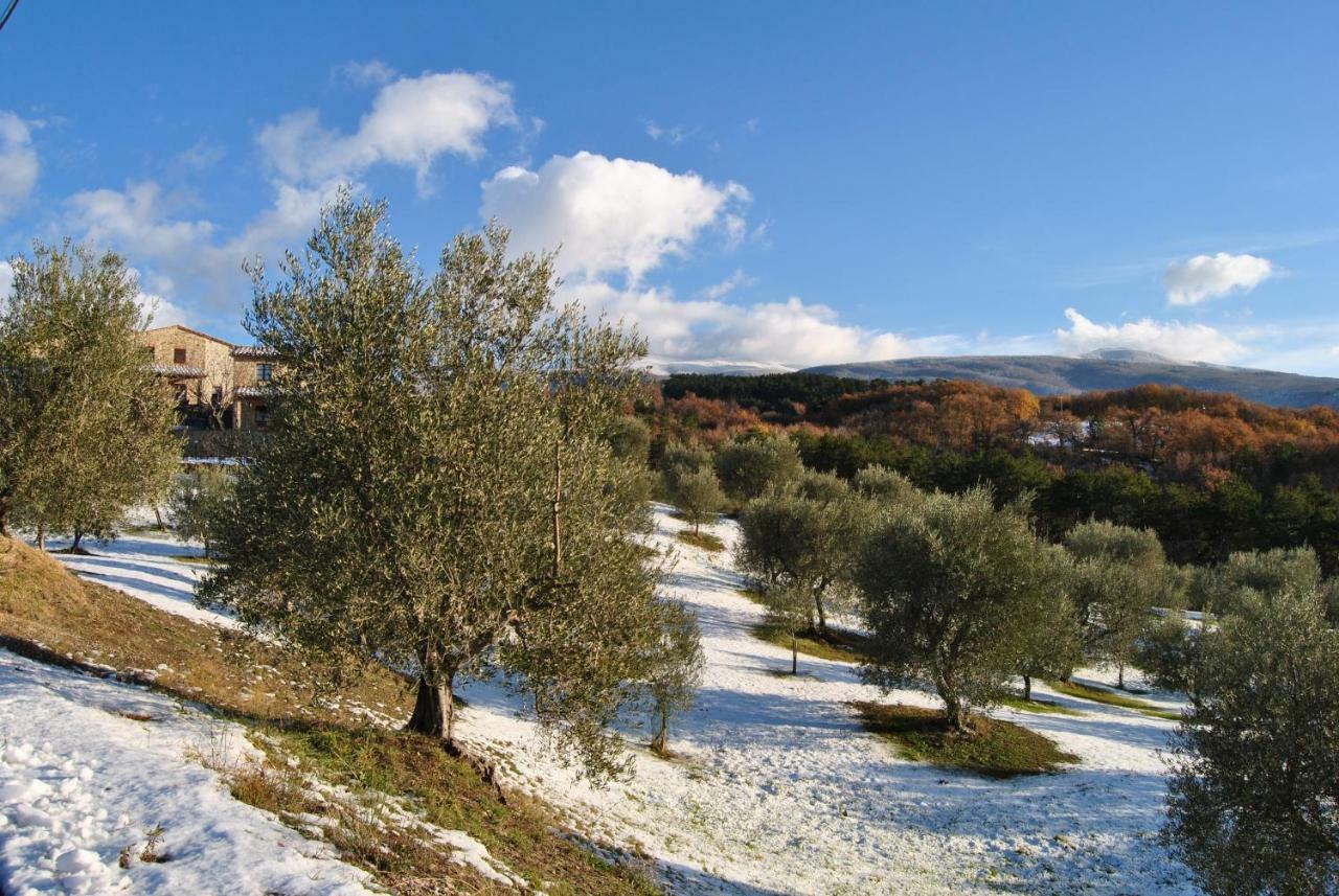 Villa Casa Fioranna à Seggiano Extérieur photo