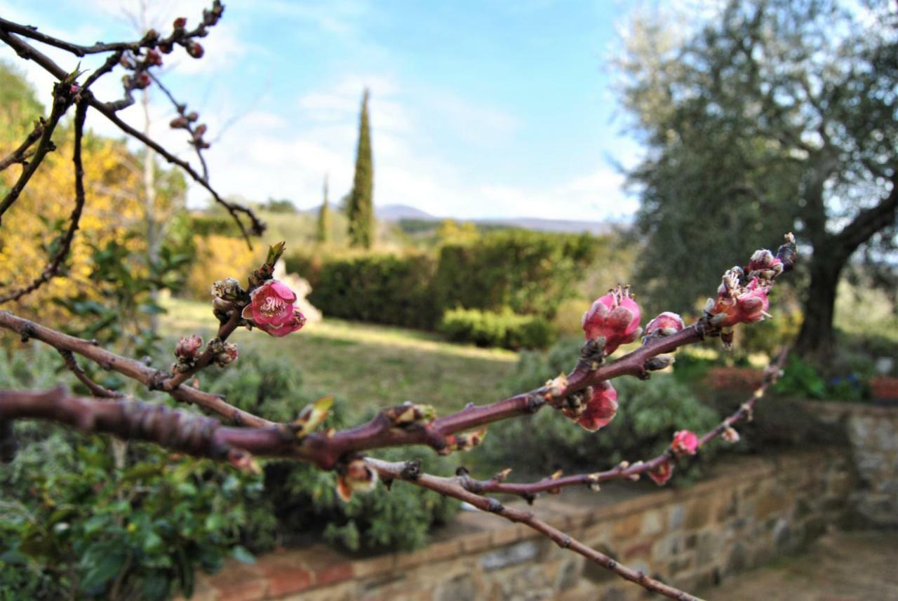 Villa Casa Fioranna à Seggiano Extérieur photo